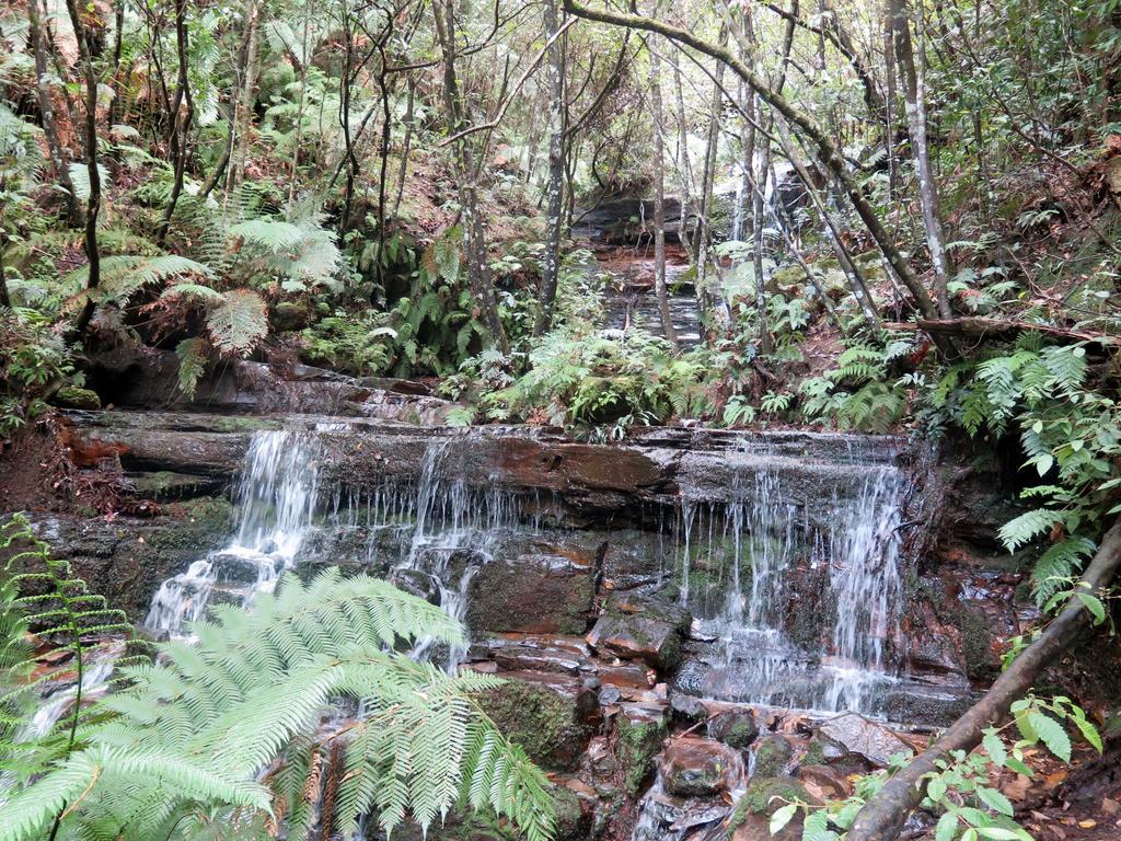 Shelton-Lea Villa Katoomba Bagian luar foto