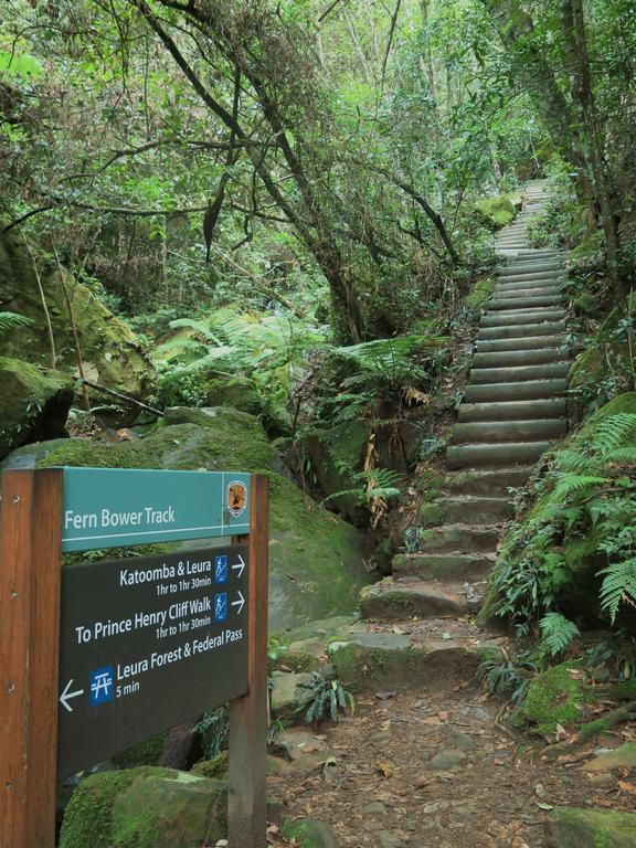 Shelton-Lea Villa Katoomba Bagian luar foto