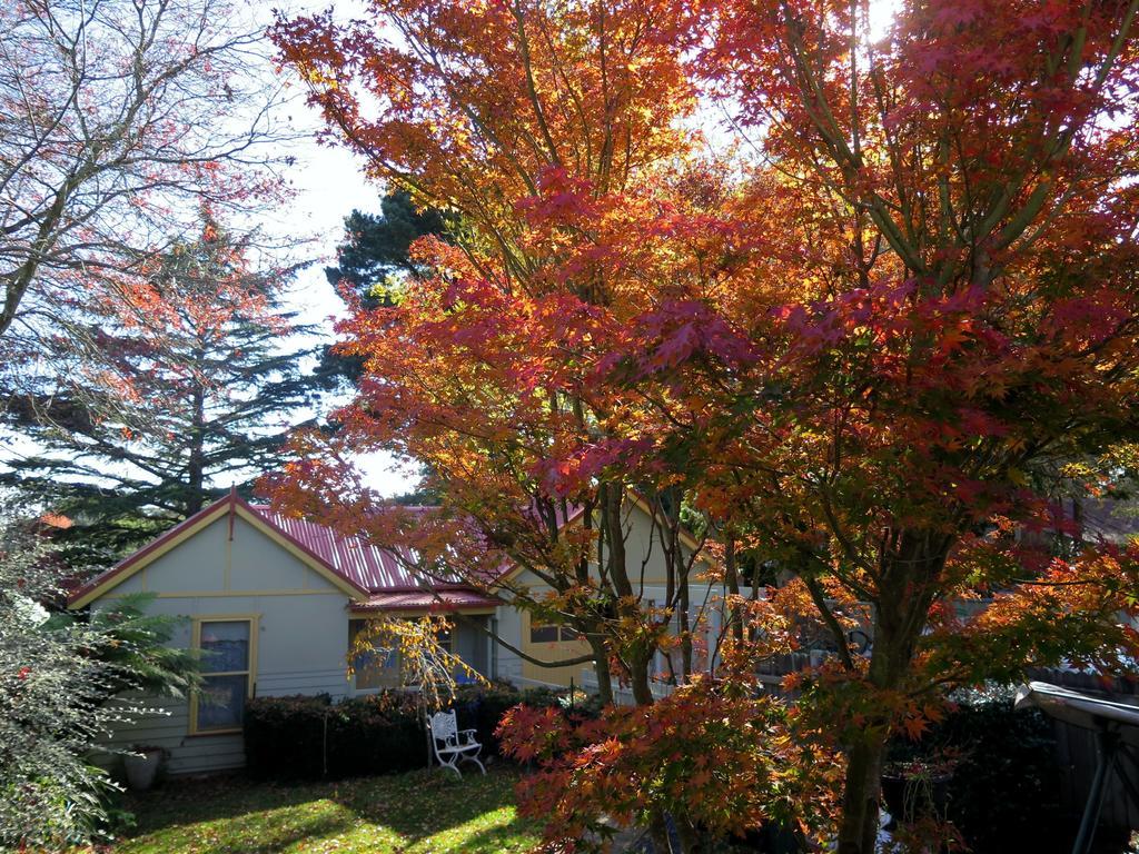 Shelton-Lea Villa Katoomba Bagian luar foto