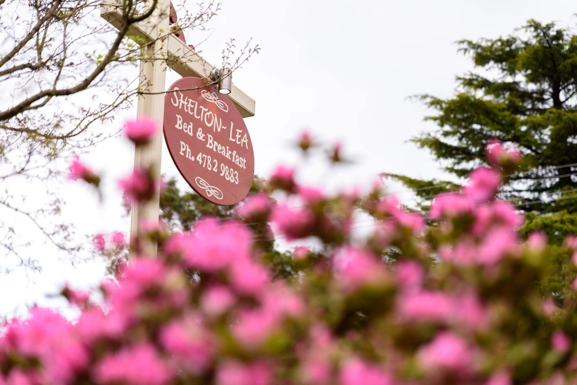 Shelton-Lea Villa Katoomba Bagian luar foto