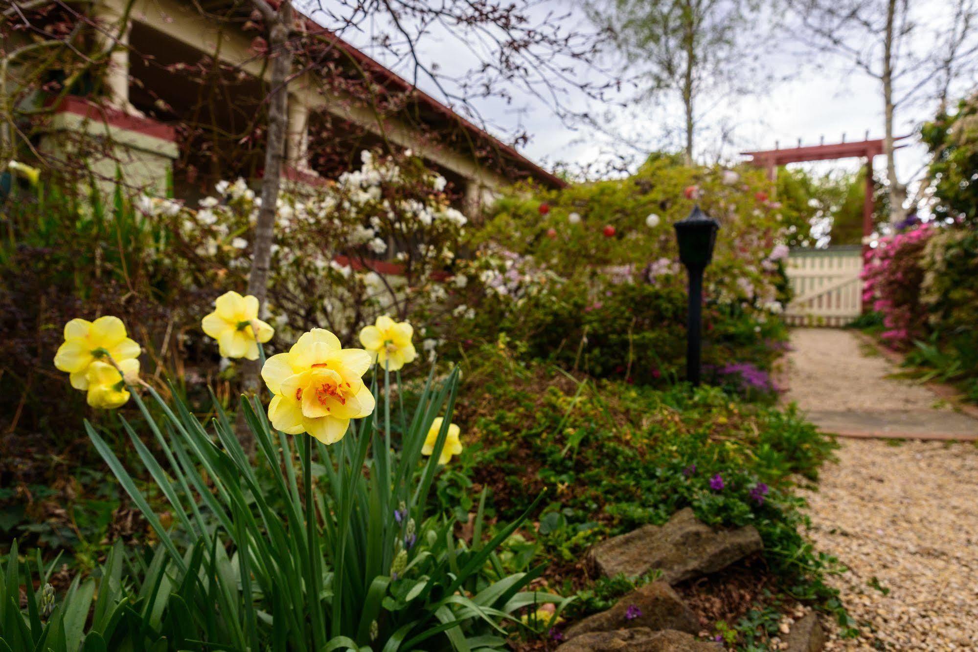 Shelton-Lea Villa Katoomba Bagian luar foto